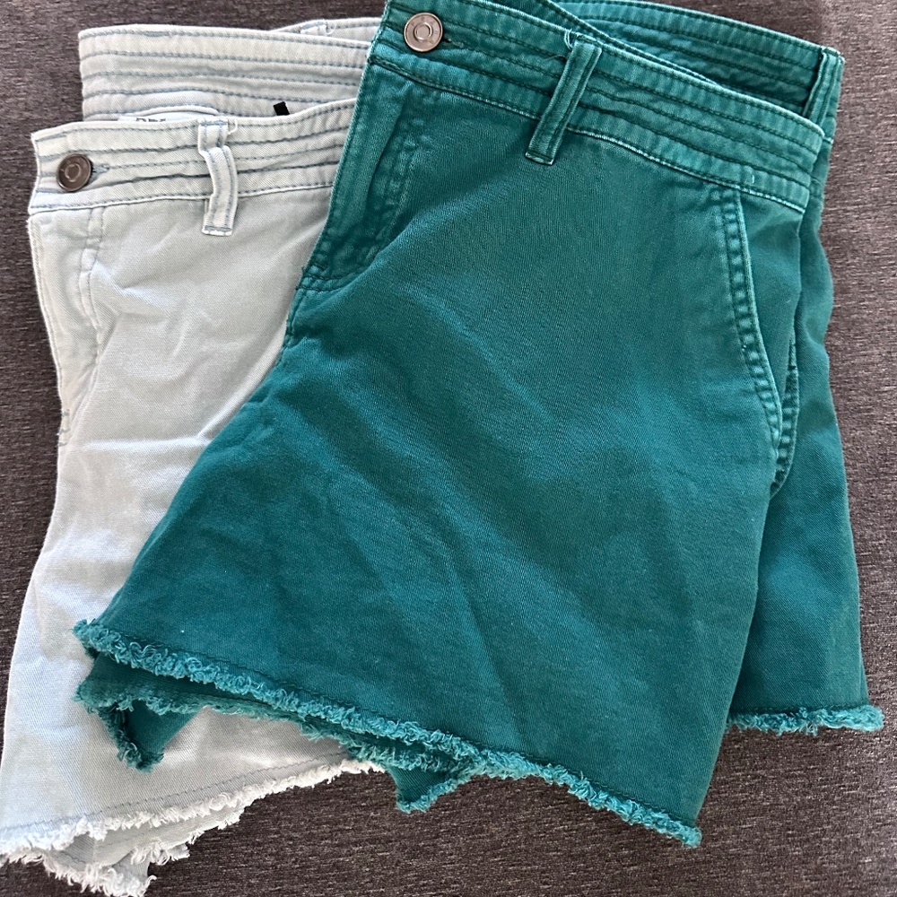 Women’s Prana Shorts